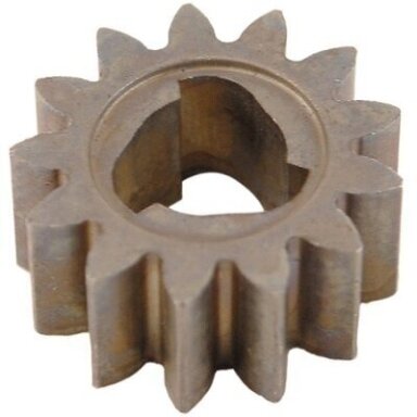 Pavaros dantratis (13T) HRX537 09